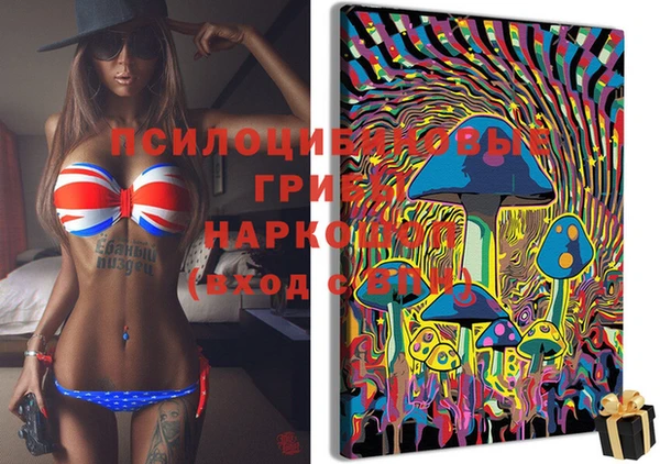 дурь Семёнов