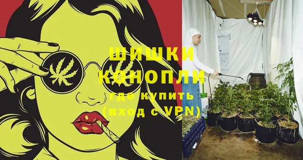 дживик Павловск