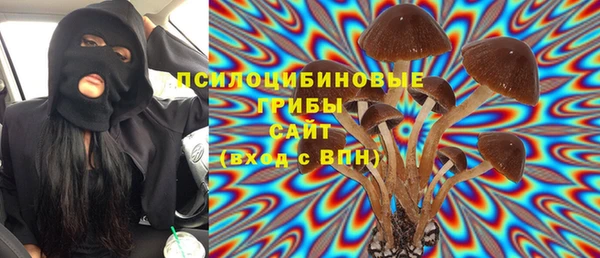 дурь Семёнов