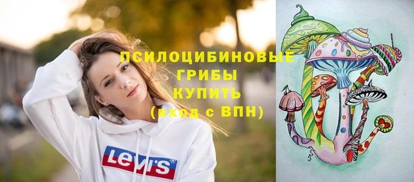 дурь Семёнов