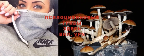 дурь Семёнов
